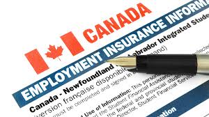 Employment Insurance (EI) Explained: Who Qualifies and How to Apply